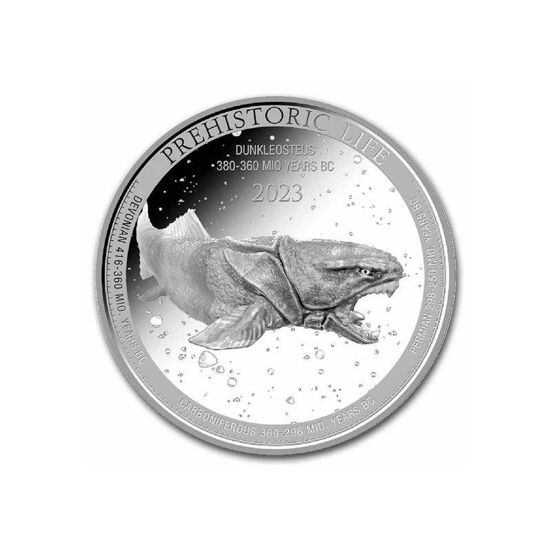 Silver coin of the Republic of Congo 