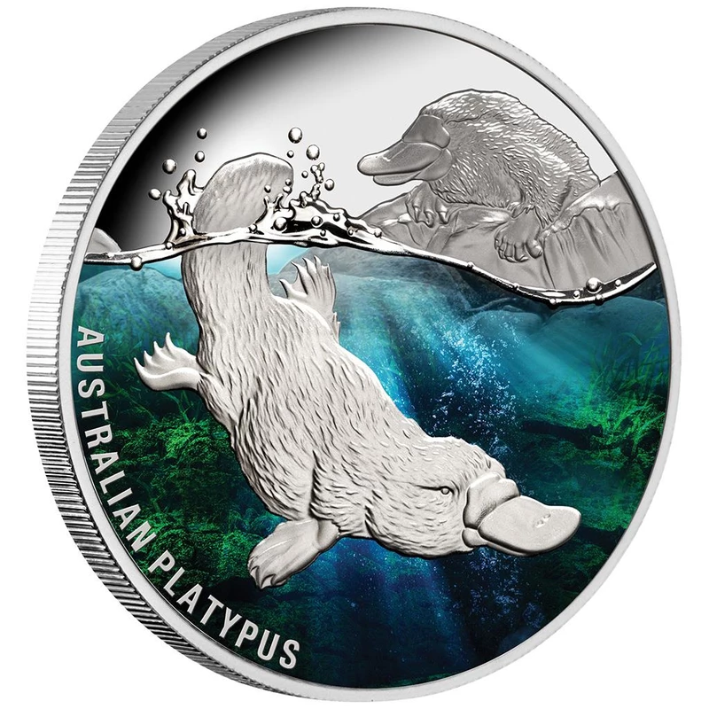 Silver coin Niue 