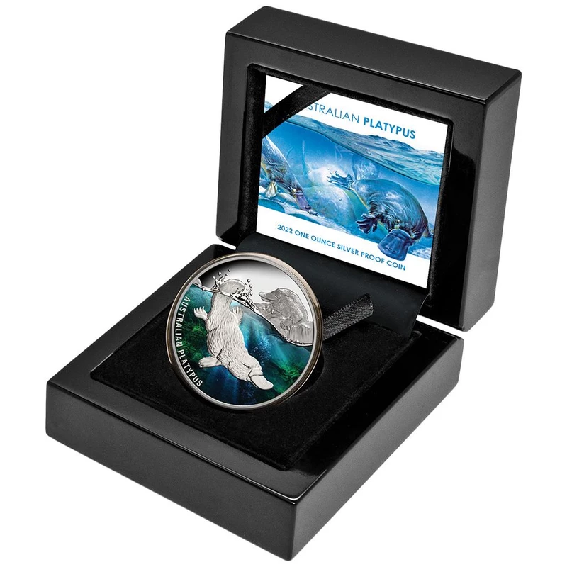 Silver coin Niue 