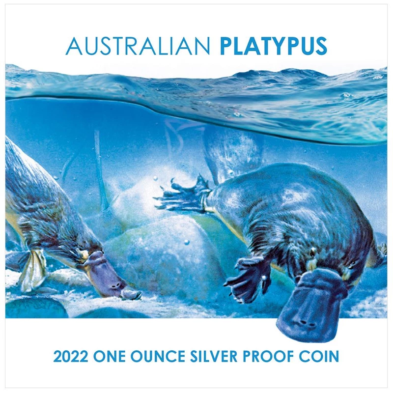 Silver coin Niue 