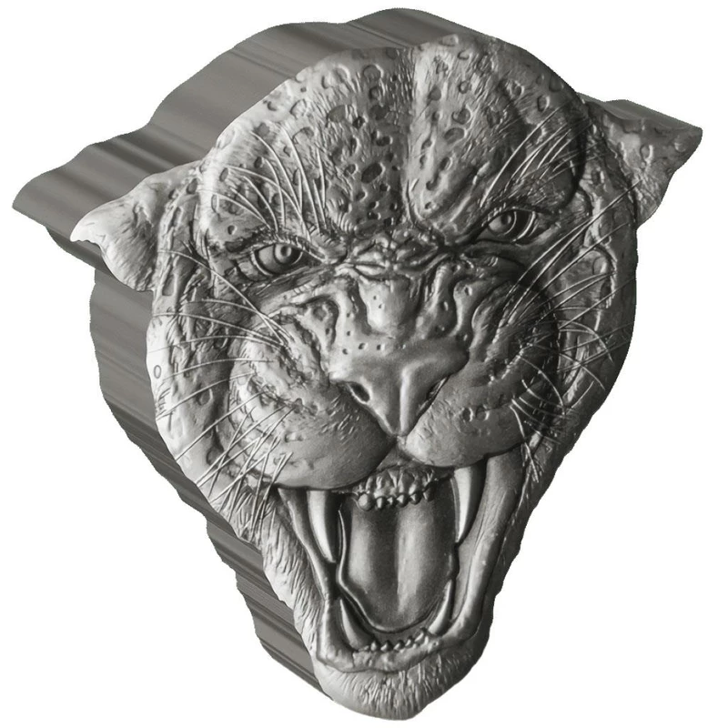 Silver coin Niue 
