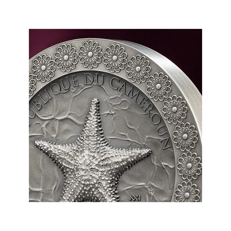 Silver coin Cameroon 