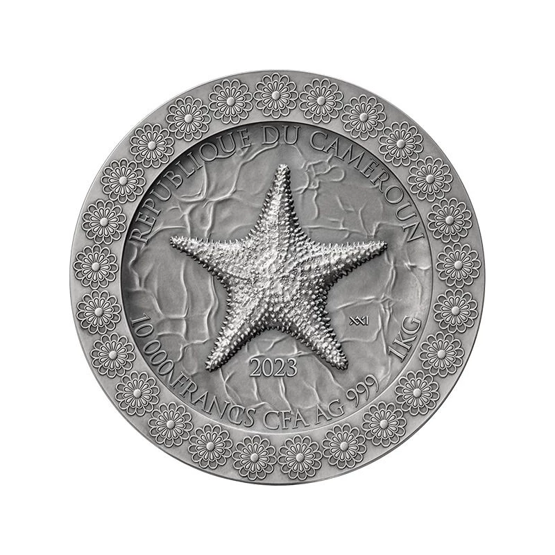 Silver coin Cameroon 