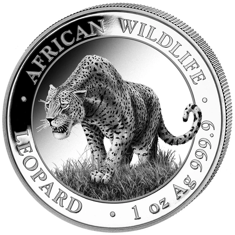 Somali silver coin 