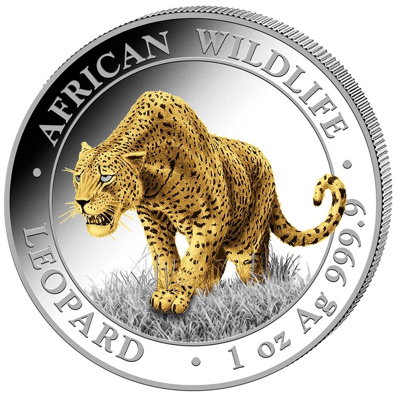 Somali silver coin 