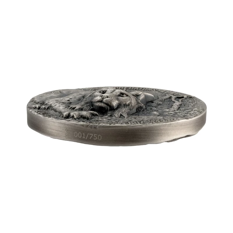Silver coin of the Republic of Côte d'Ivoire (Ivory Coast) 