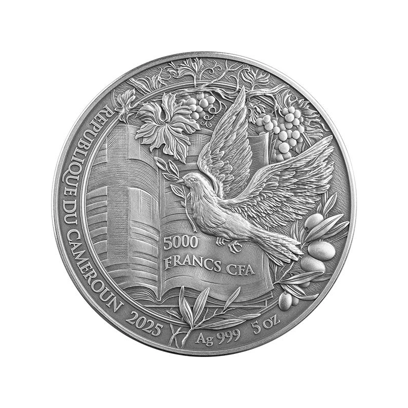 Cameroon silver coin. 