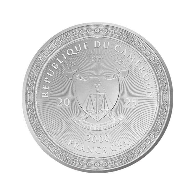 Cameroon silver coin. 