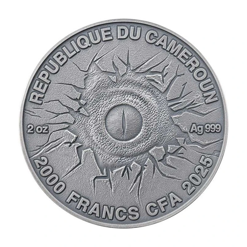 Cameroon silver coin. 