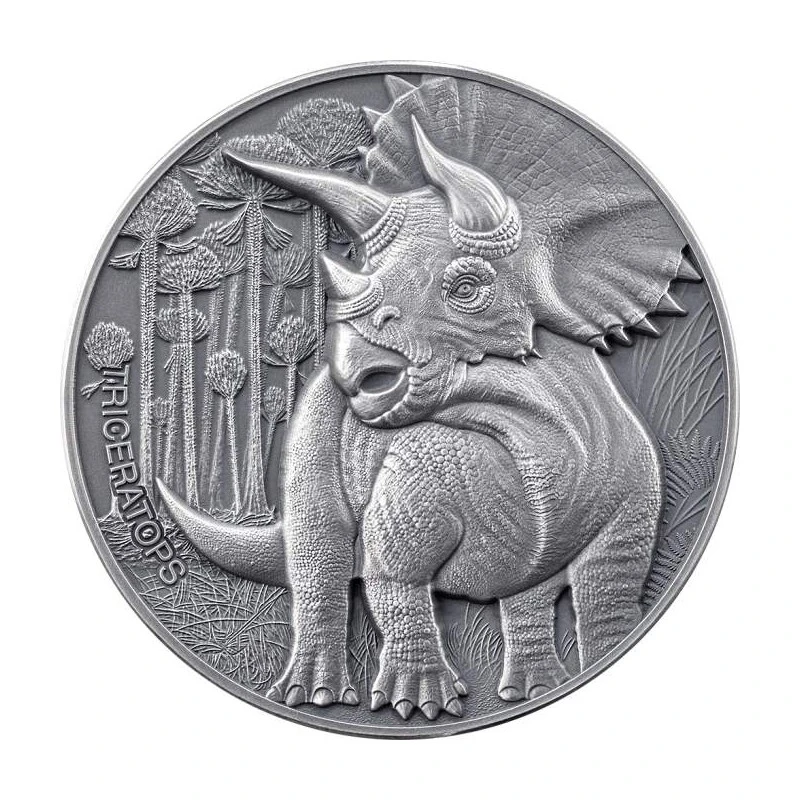 Cameroon silver coin. 