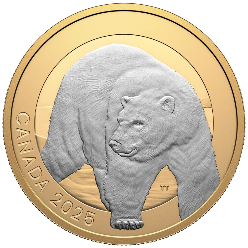 Canada: silver coin Polar bear 2025 Proof gilded 1 oz Collectible coins
