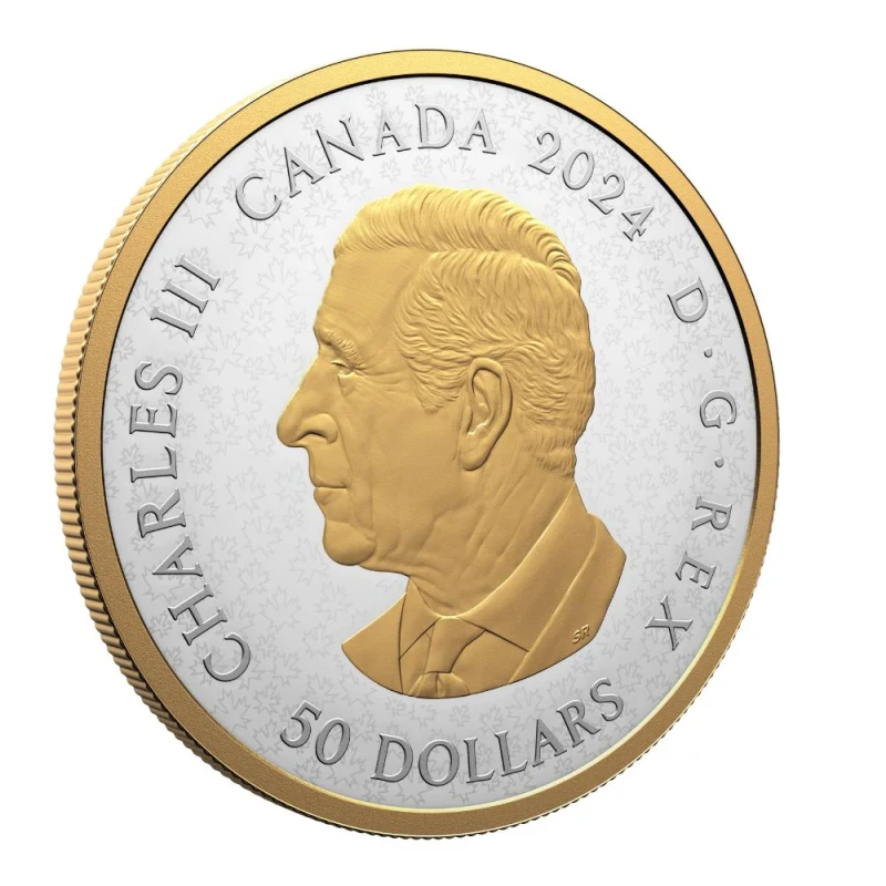 Canada: silver coin Birds of Canada 2024 Proof gilded 5 oz Collectible coins