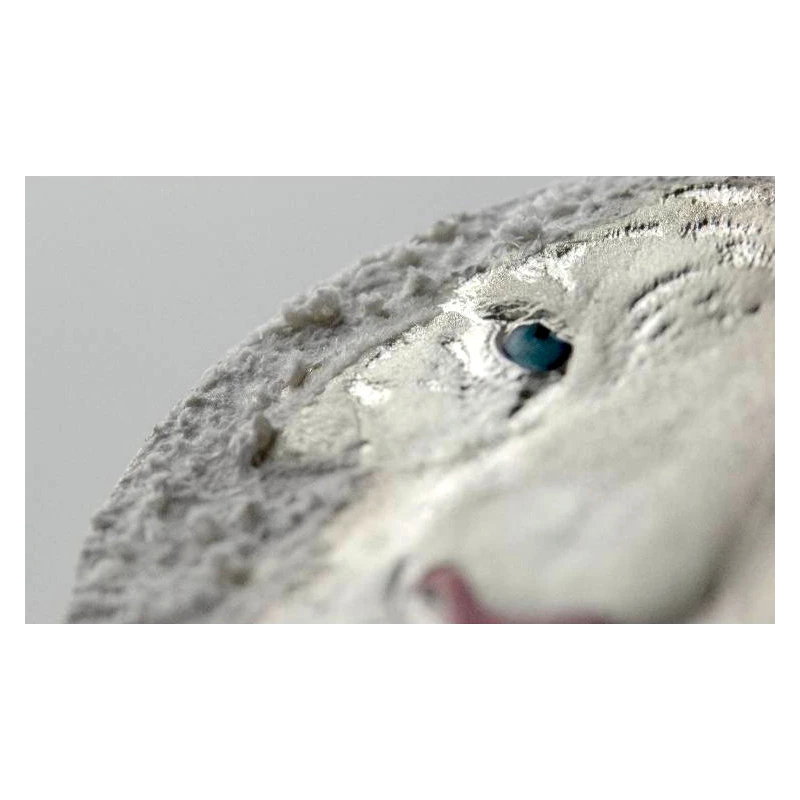 Niue: silver coin White Tiger 2022 3 oz Collectible coins