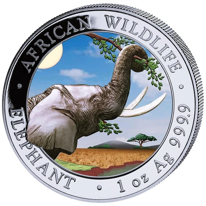 Somalia Silver Coin African Wildlife Elephant 2023 Colored Day Design 1 oz Collectible coins