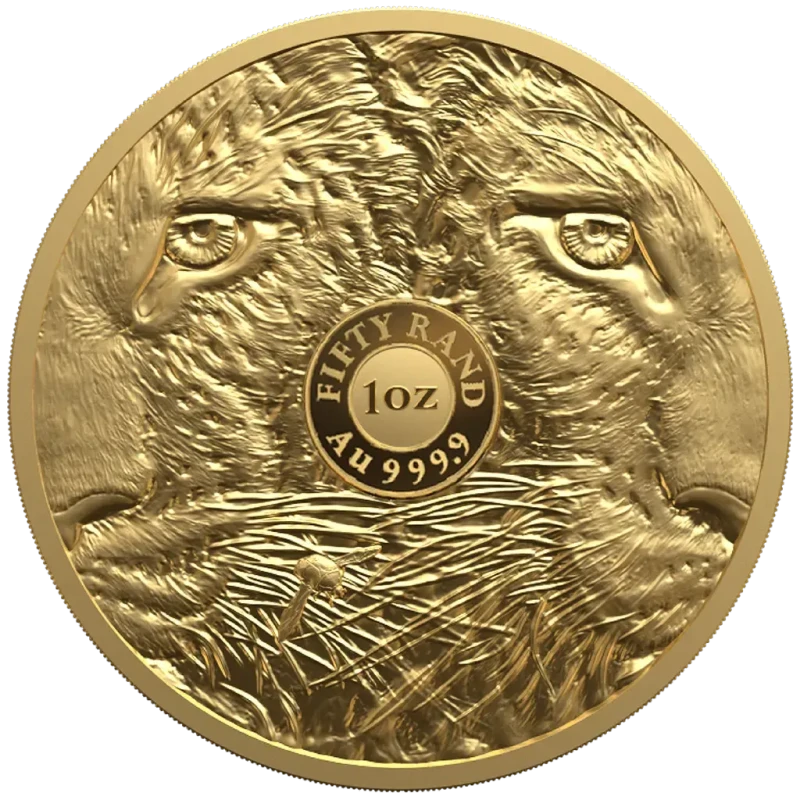 South Africa Gold Coin Big Five III Leopard 2026 Proof 1 oz Collectible coins