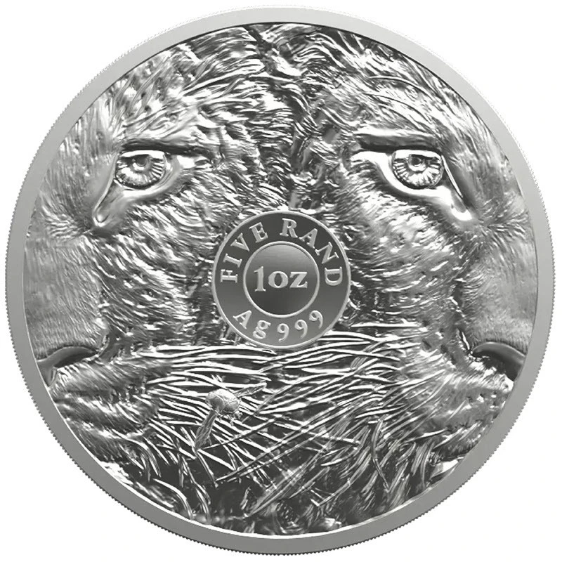 South Africa Silver Coin Leopard 2026 1 oz Collectible coins