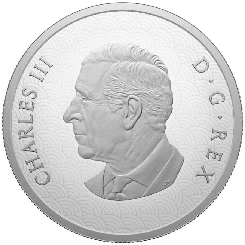 Canada Silver Coin Year of the Snake 2025 Proof 1 oz Collectible coins
